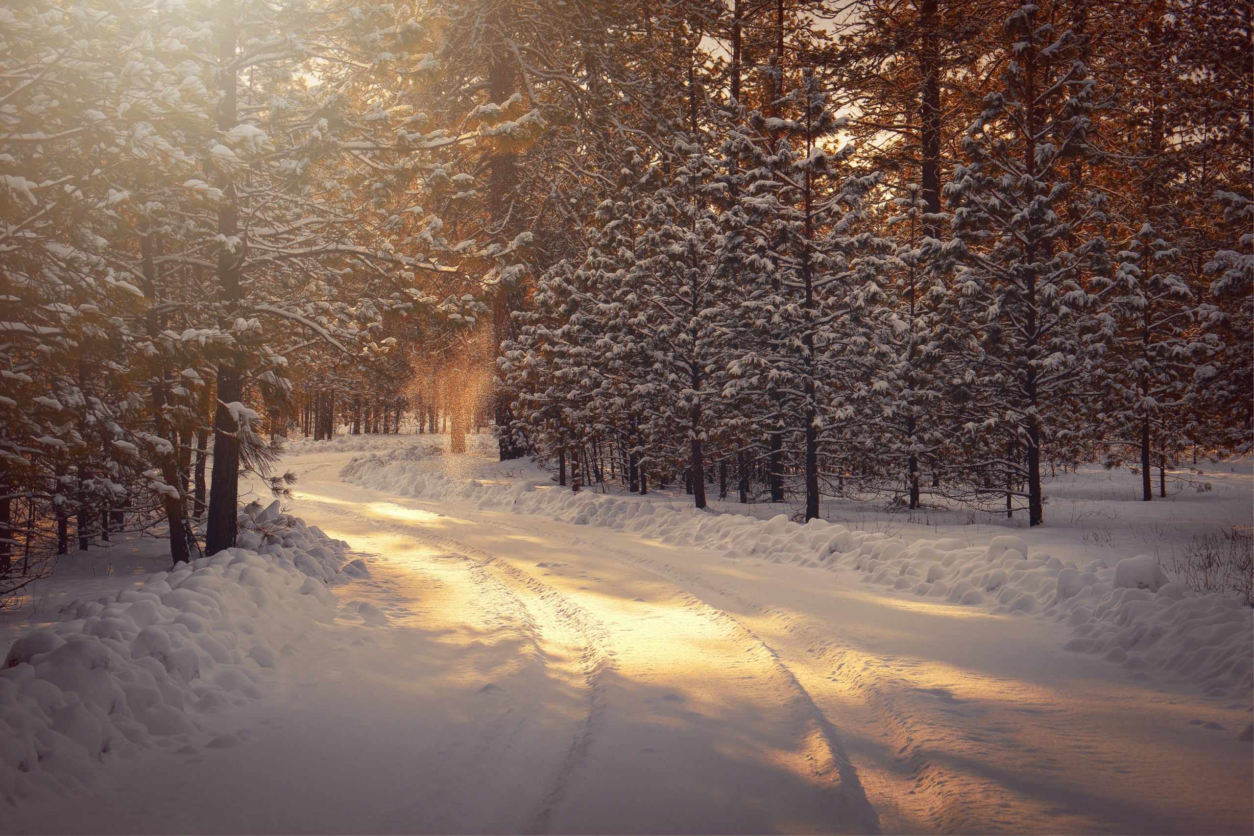 Energizing Your Team: A Guide to Helping Employees Escape the Winter Slump