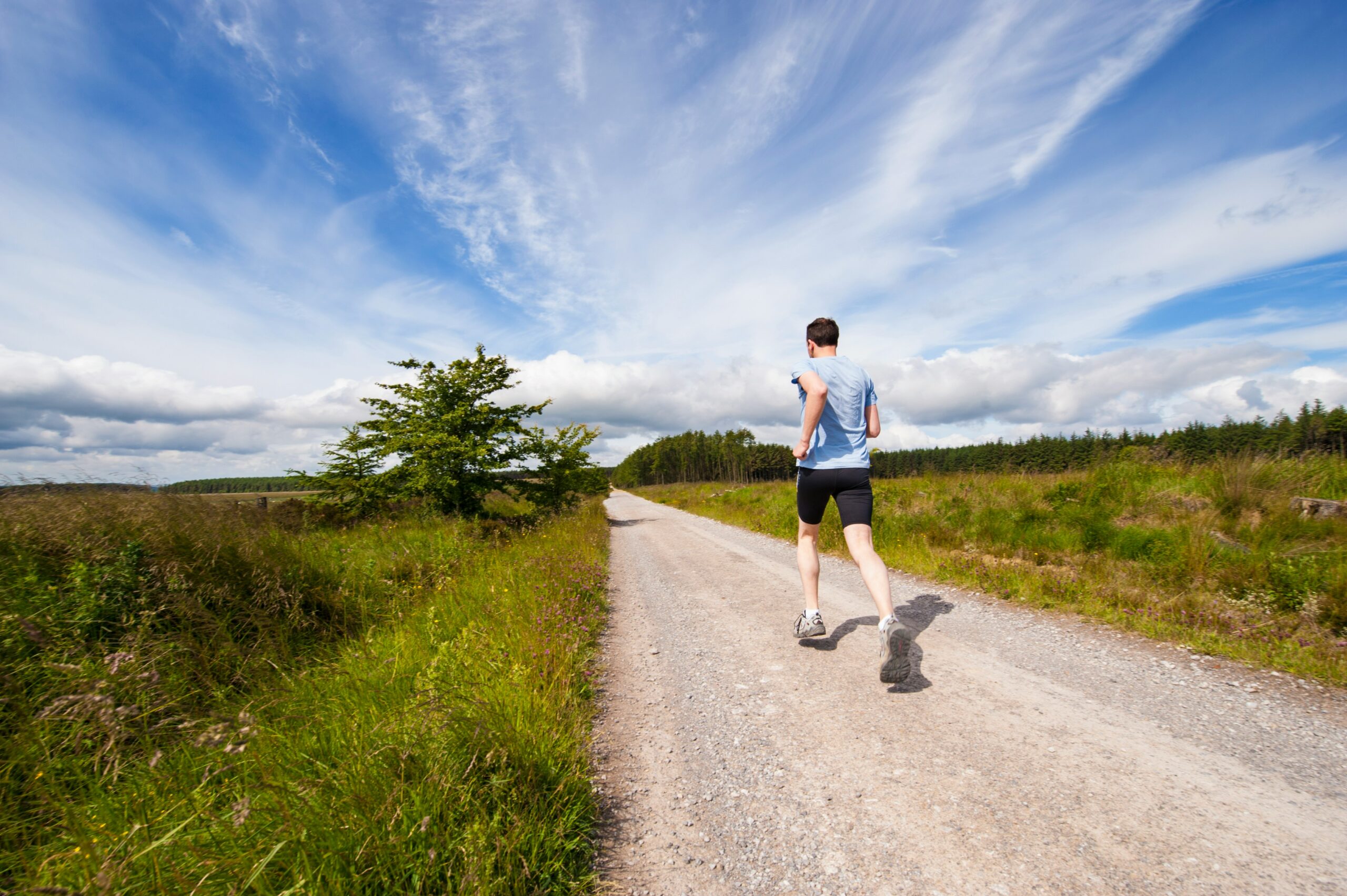 The ROI of Wellness: Invest in Healthy Employees