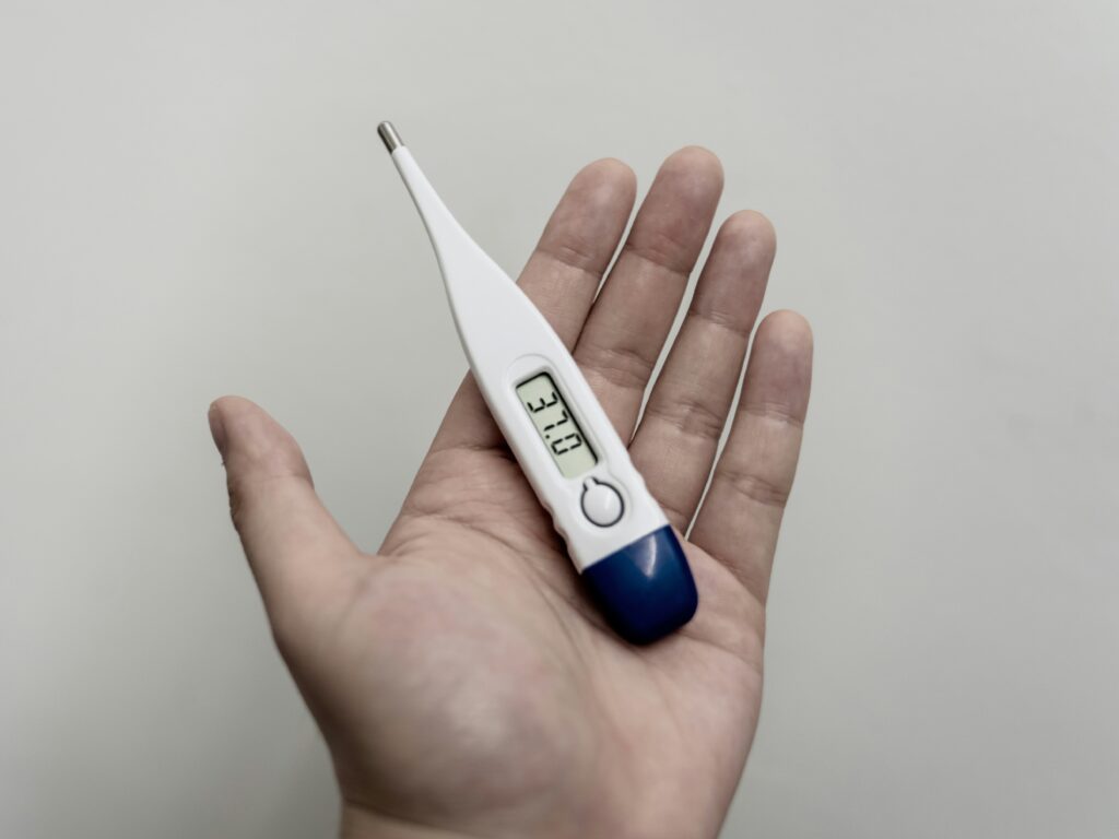 a image of a thermometer for sick days